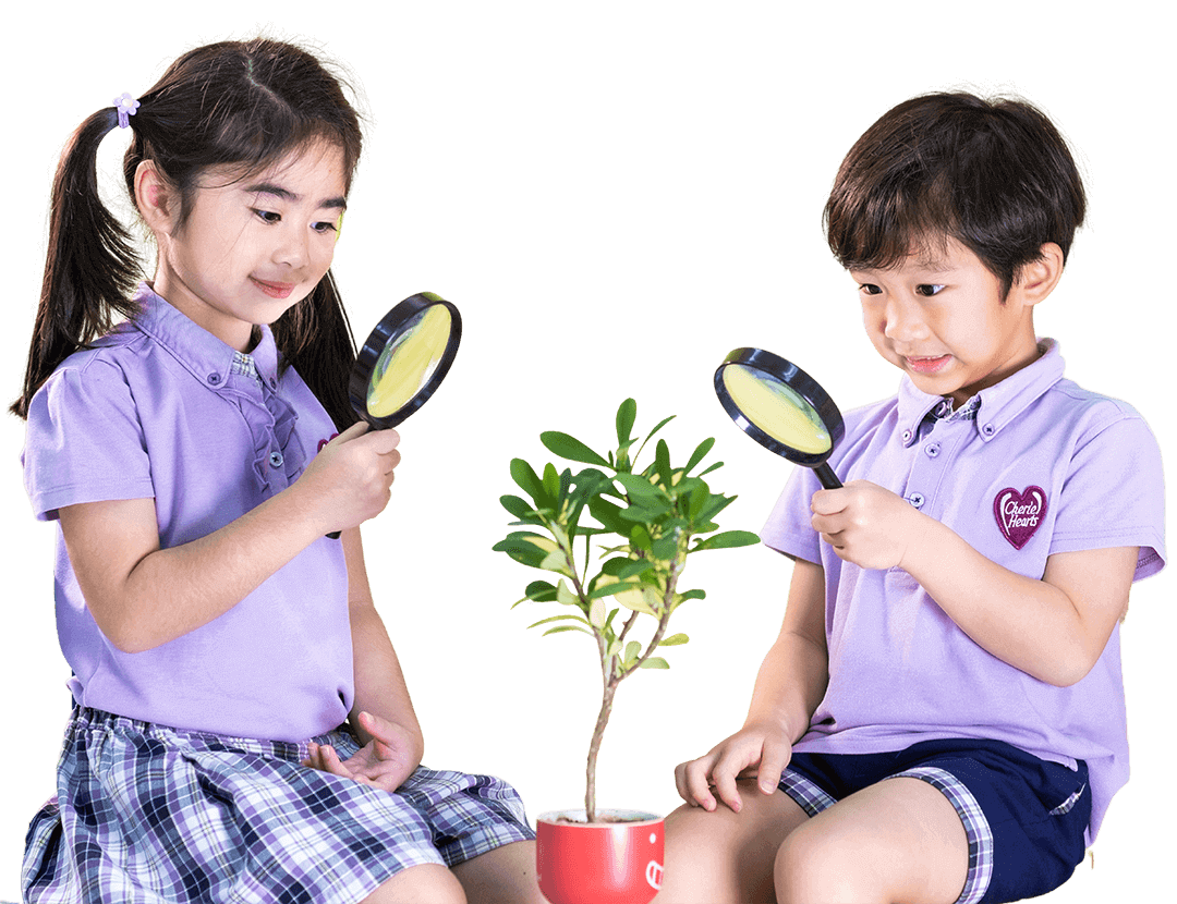 Environmental Literacy Environmental Literacy