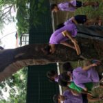 Exploring-tree-Environmental-Literacy-1024x768